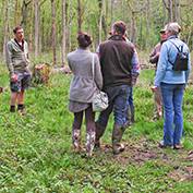 A walk in Buff Wood, Hatley, Cambridgeshire - 8th May 2013.