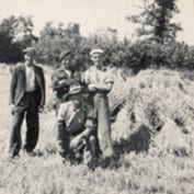 Bill Richardson's Farming in 1942 article - harvest stooks.