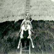 Thatched stacks, 1949.