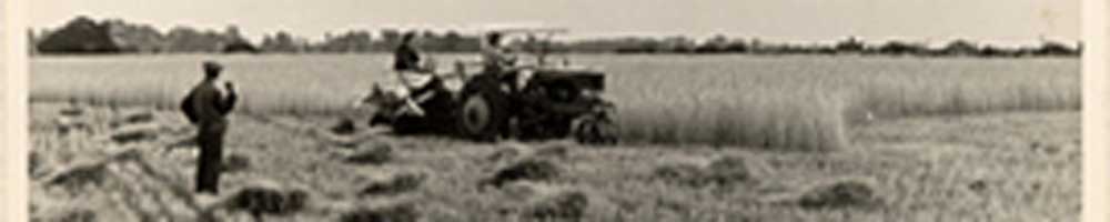 Bill Richardson's 'Farming in 1942' article – harvest binder.