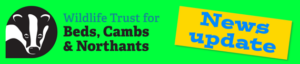 Wildlife Trust for Bedfordshire, Cambridgeshire and Northamptonshire notes about the West Cambridgeshire Hundreds, news update.