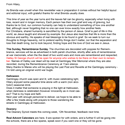 St Mary's, Gamlingay, weekly newsletter – 7th November 2025